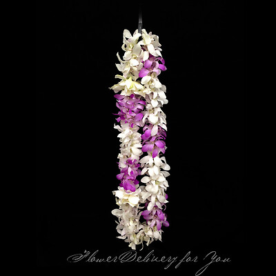 fdfy-lei-6098